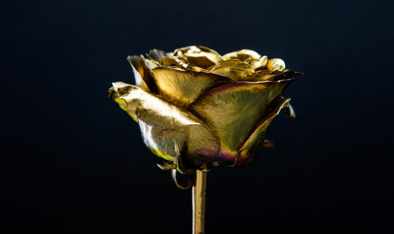 Unveiling the Beauty of Love Picker™ Gold Roses Unveiling the Beauty of Love Picker™ Gold Roses