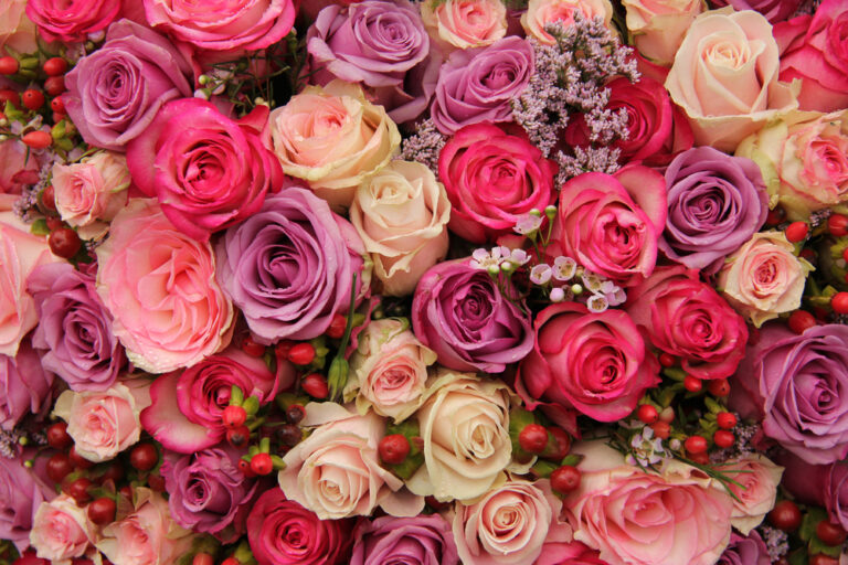 The Secret Language of Roses